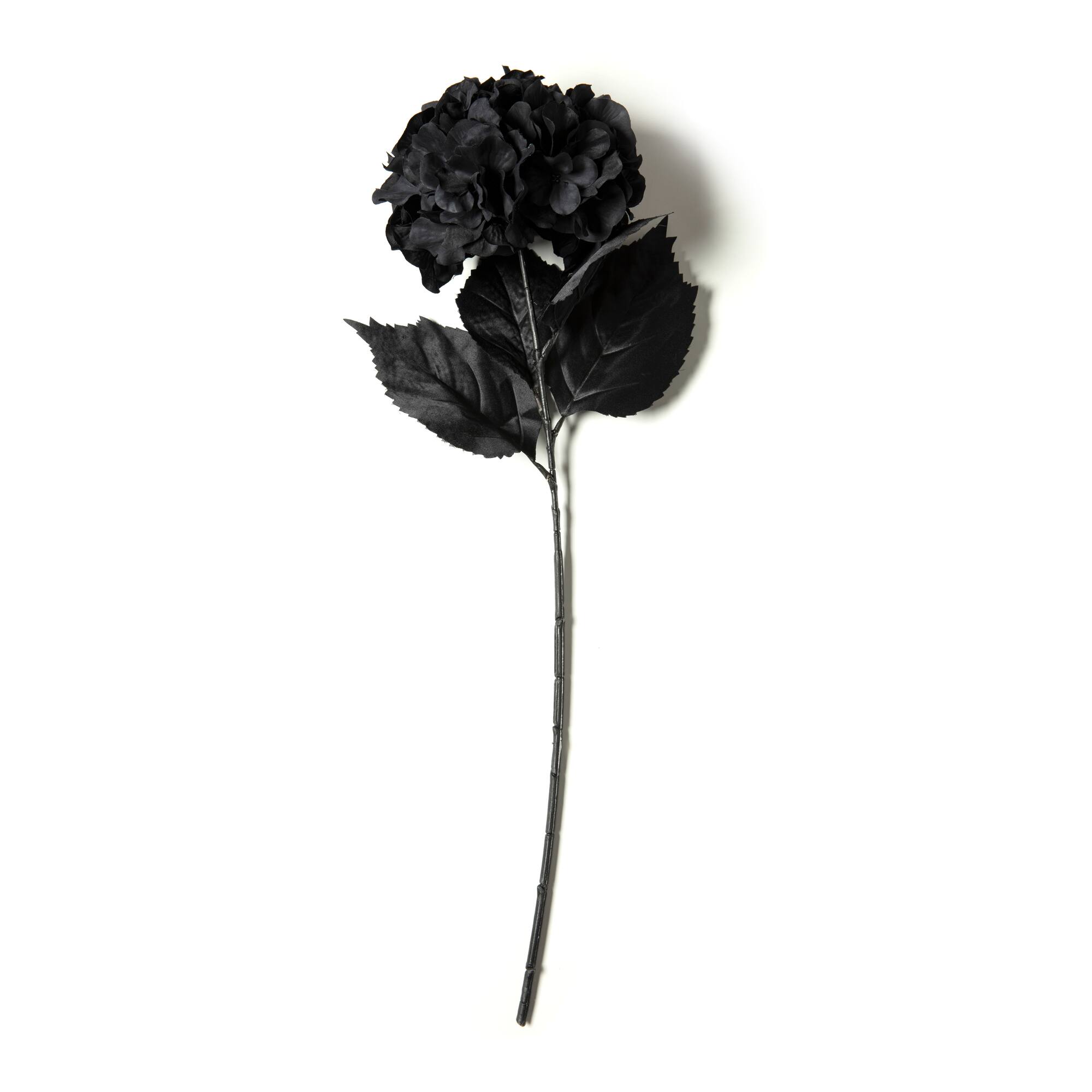 12 Pack: Black Hydrangea Stem by Ashland®
